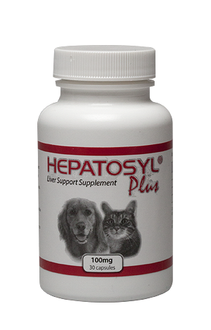 100mg 30 capsules